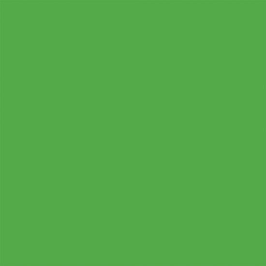 RPS Studio 10'x10' Choma Key Green Cloth Muslin Background