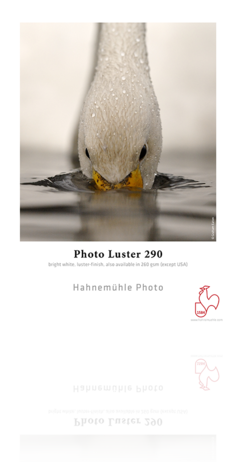 Hahnemühle Photo Luster 290 8.5" x 11" 25-Sheets Paper