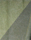 Savage Accent Muslin Background 10'x12' - Forest Green