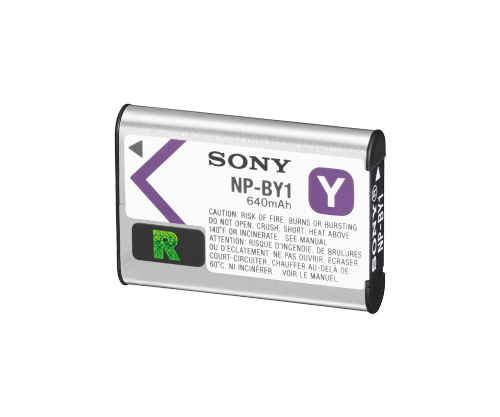 Sony NPBY1 Battery Pack