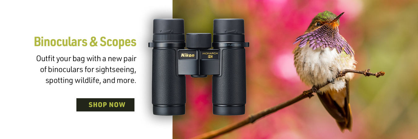 Nikon Binocular Specials