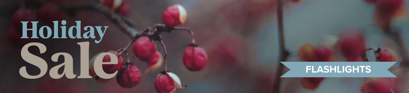 Flashlights