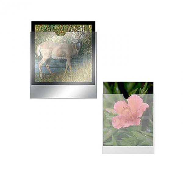 Dot Line Plastines Polyethylene Envelope with Open Top 5 x 7" - 100 Pack