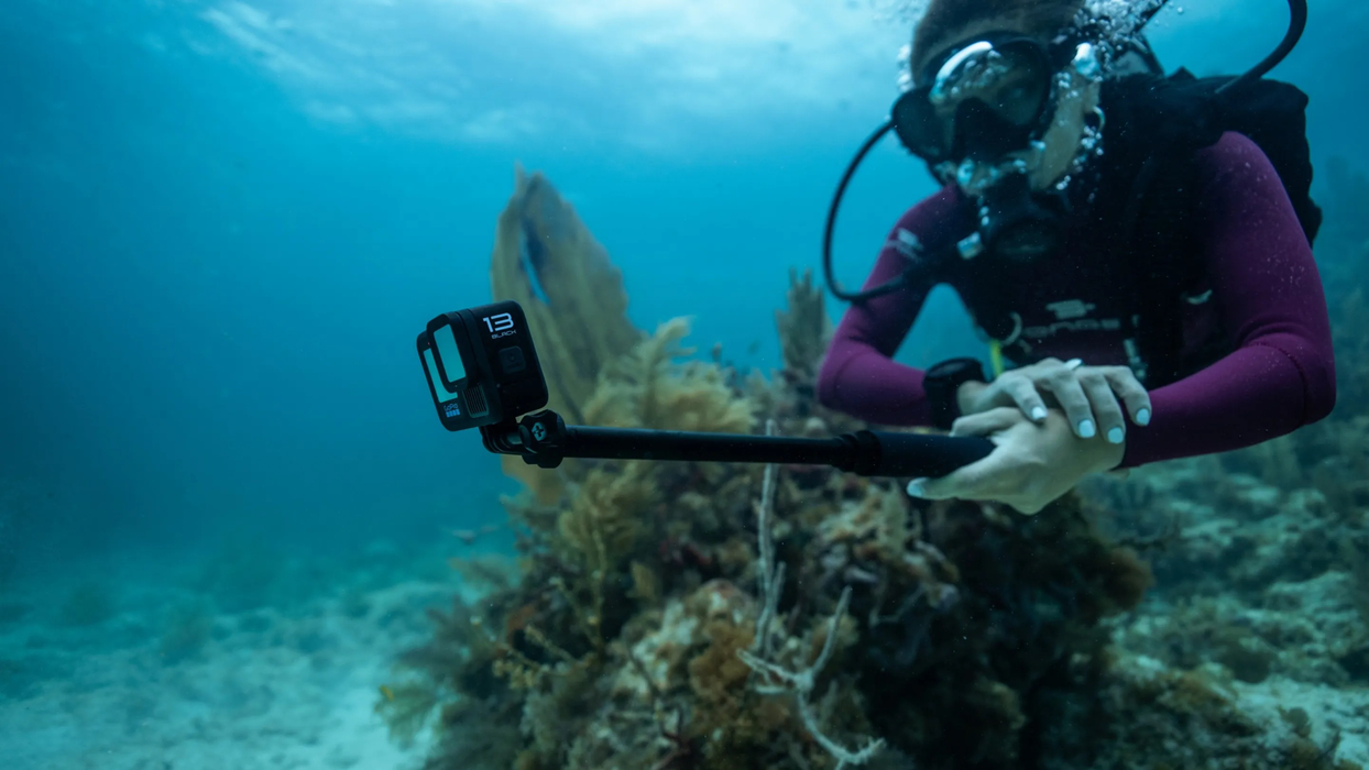 GoPro 4ft (1.2m) Extension Pole