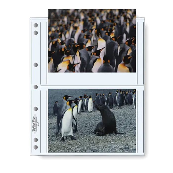 Print File 57-4P* Archival Photo Pages with 2 Pockets (Holds 5x7" Prints) - 25 Pack