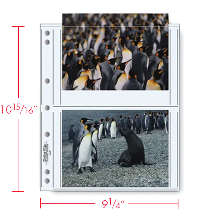 Print File 57-4P* Archival Photo Pages with 2 Pockets (Holds 5x7" Prints) - 25 Pack