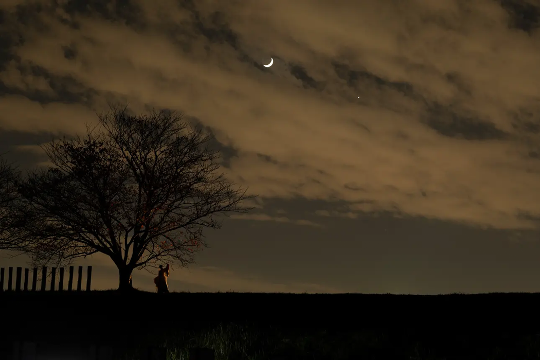 Leica APO-Summicron-SL 75mm f/2 ASPH. Lens