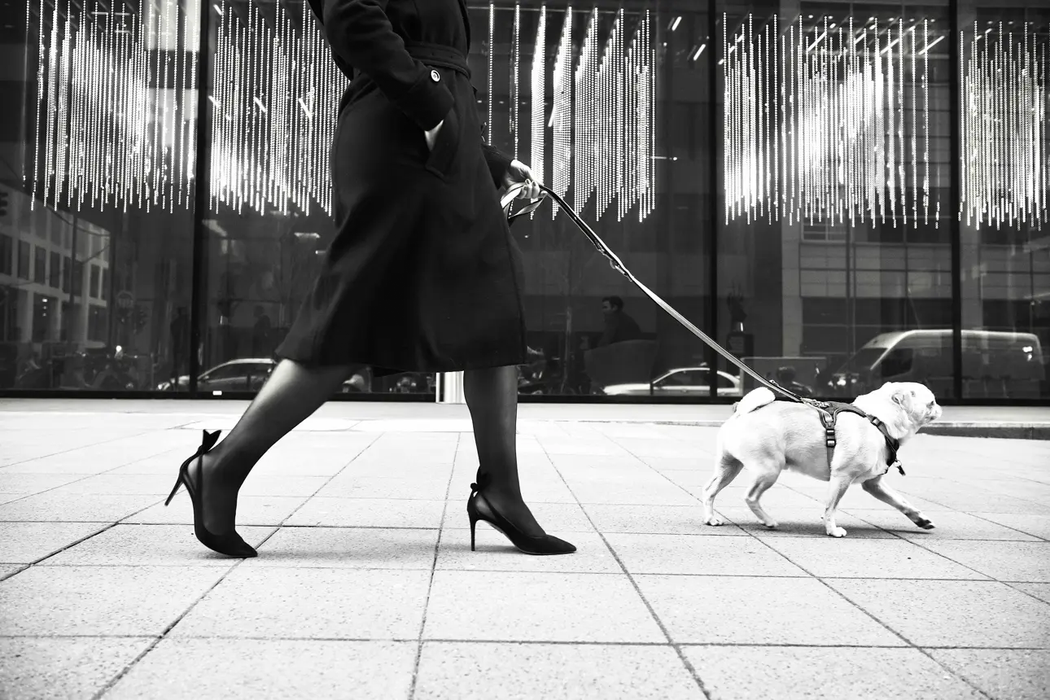 Leica Summilux-M 28mm f/1.4 ASPH. Lens