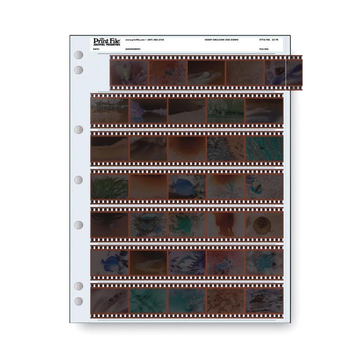 Print File 35-7B Archival Negative Pages for 35mm Film (Holds 7 Strips) - 100 Pack