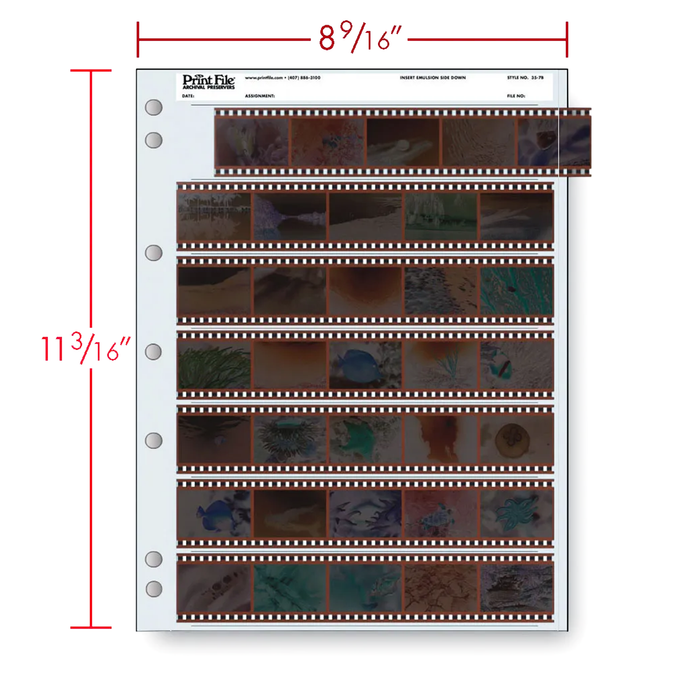 Print File 35-7B Archival Negative Pages for 35mm Film (Holds 7 Strips) - 100 Pack