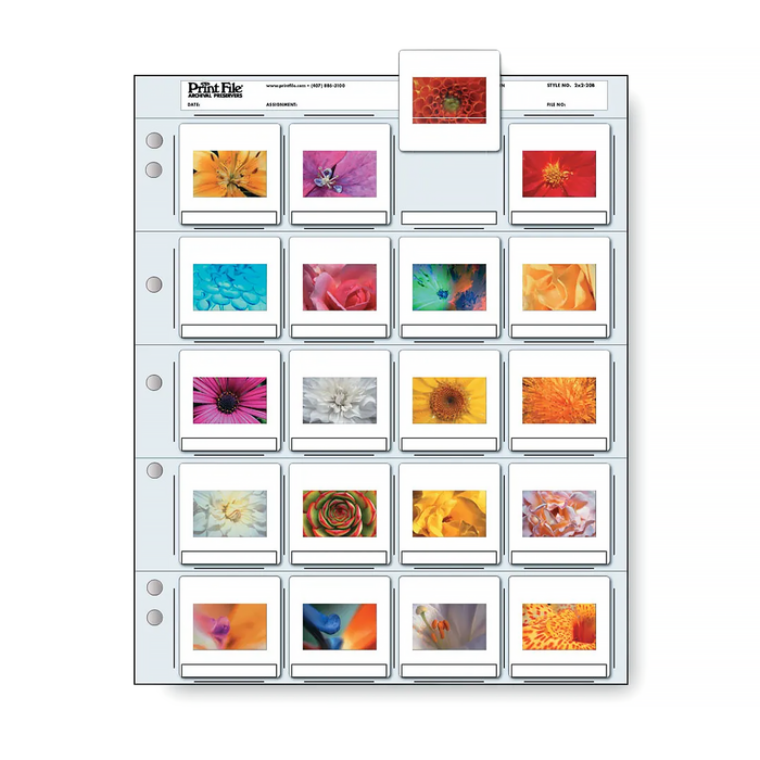 Print File 2×2-20B Archival Slide Pages for 35mm Mounted Transparencies (Holds 20 Individual Frames) - 25 Pack