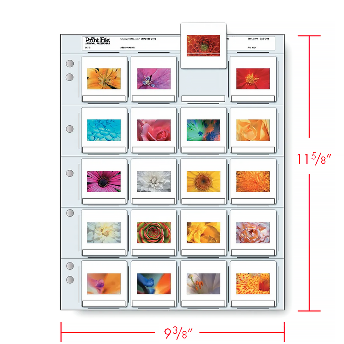 Print File 2×2-20B Archival Slide Pages for 35mm Mounted Transparencies (Holds 20 Individual Frames) - 25 Pack