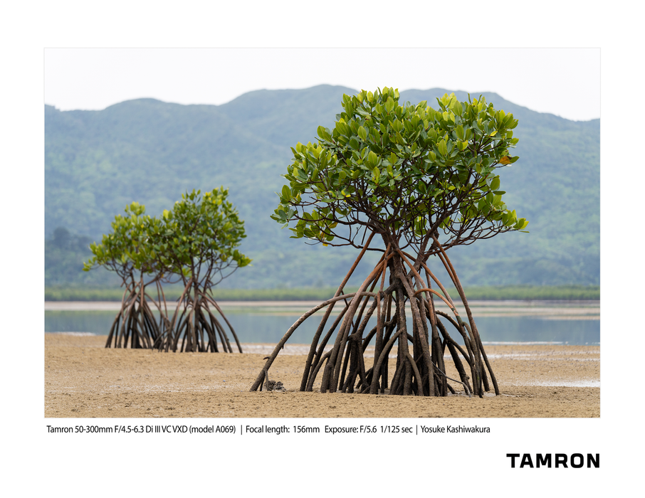 Tamron 50-300mm F/4.5-6.3 Di III VC VXD Lens - Sony E Mount