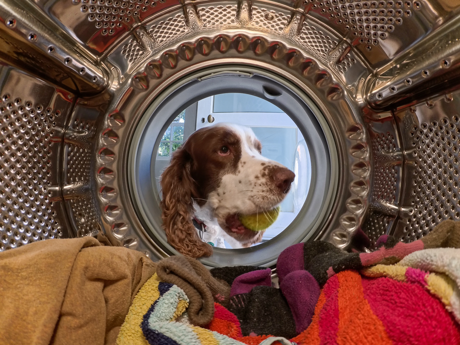 Insta360 GO Ultra Standard Bundle - Midnight Black