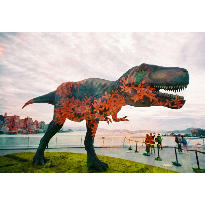 Lomography LomoApparat 21mm Wide-Angle 35mm Film Camera - Fluffy Omelet Edition