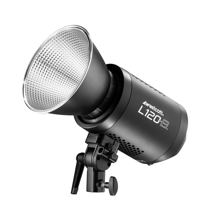 Westcott L120-B Bi-Color LED Monolight