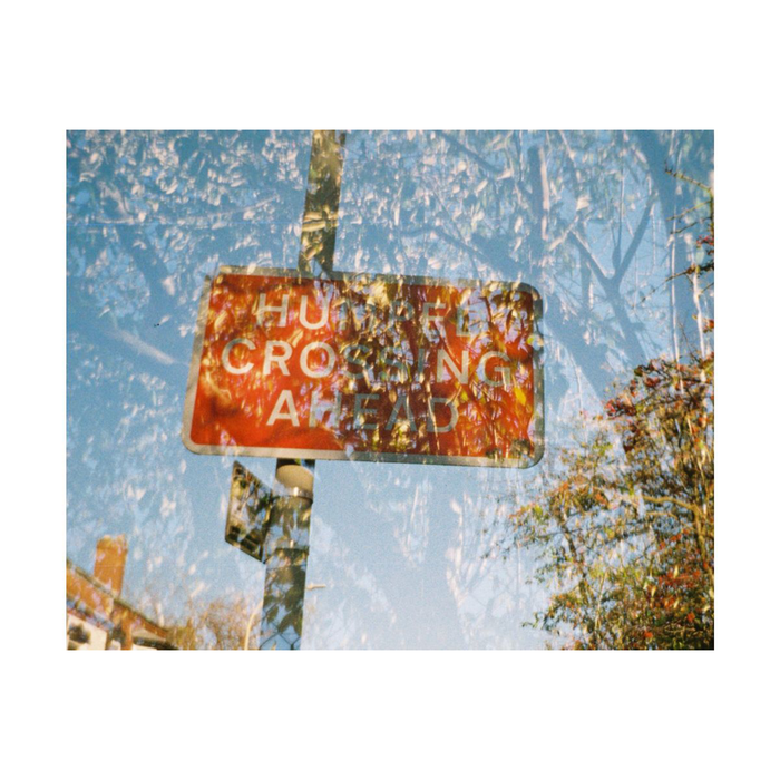 Lomography Lomomatic 110 Camera - Golden Gate Edition