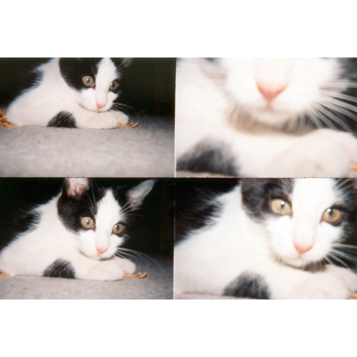 Lomography ActionSampler Fixed Focus 4-Lens 35mm Viewfinder Camera Kit - Clear