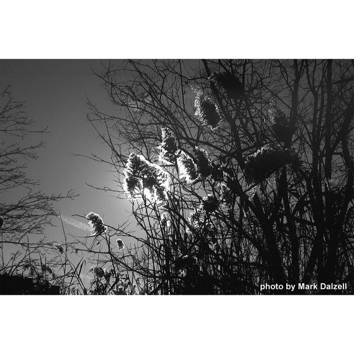 Film Photography Project Jekyll/Hyde 100 Black & White - 35mm Film, 24 Exposures, Single Roll