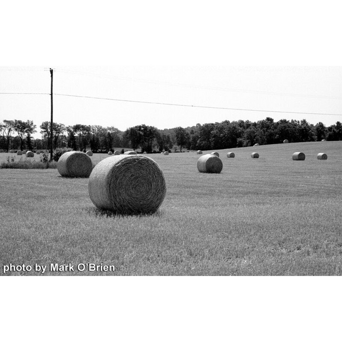 Film Photography Project Jekyll/Hyde 100 Black & White - 35mm Film, 24 Exposures, Single Roll