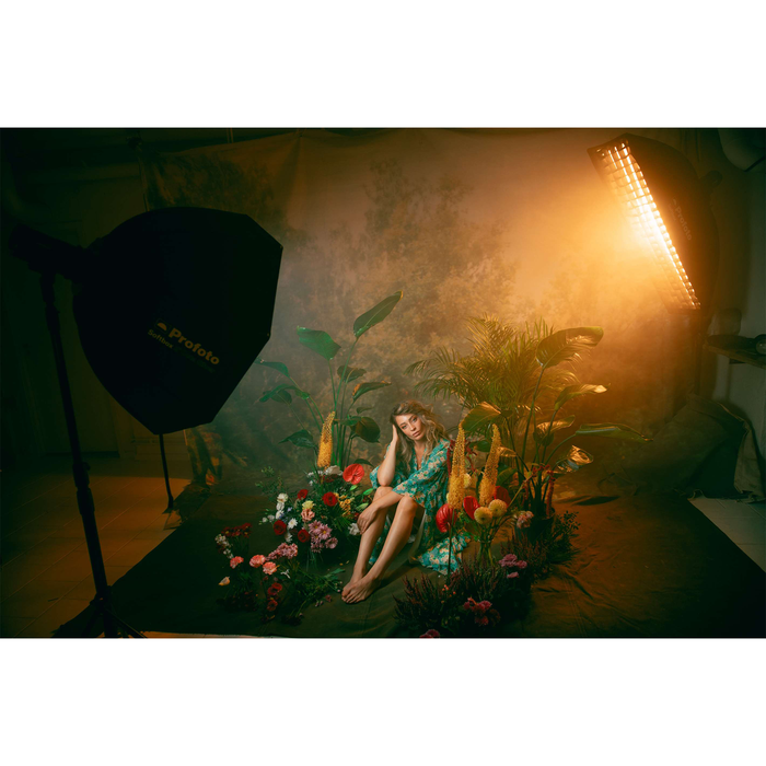 Profoto Softbox 4’ Octa Silver