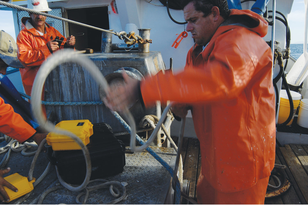 Pelican 1400 Protector Case with Pick-N-Pluck Foam & Lid Foam - Black