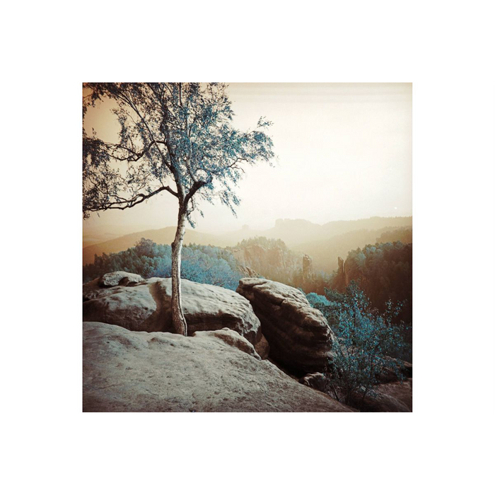 Lomography LomoChrome Turquoise 2021 Formula 100–400 Color Negative - 120 Film, Single Roll