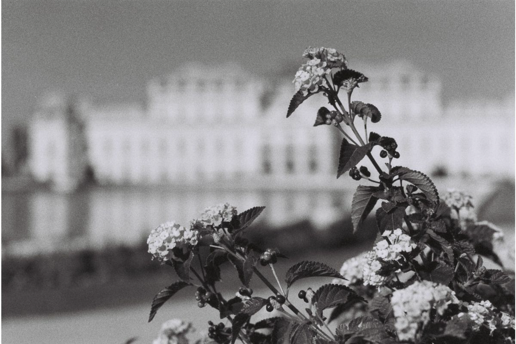 Lomography Berlin Kino 400 Black & White Negative - 35mm Film, 36 Exposures, Single Roll