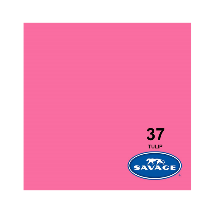 Savage #37 Tulip Seamless Background Paper 107" x 36' - In Store Pick Up Only