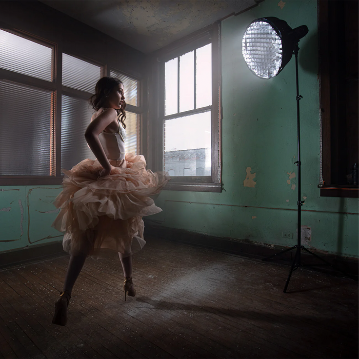 Westcott 40° Egg Crate Grid for Beauty Dish & Beauty Dish Switch