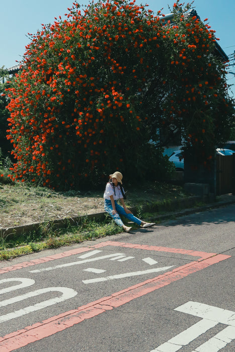 Sigma 18-50mm f/2.8 DC DN Contemporary Lens - RF Mount