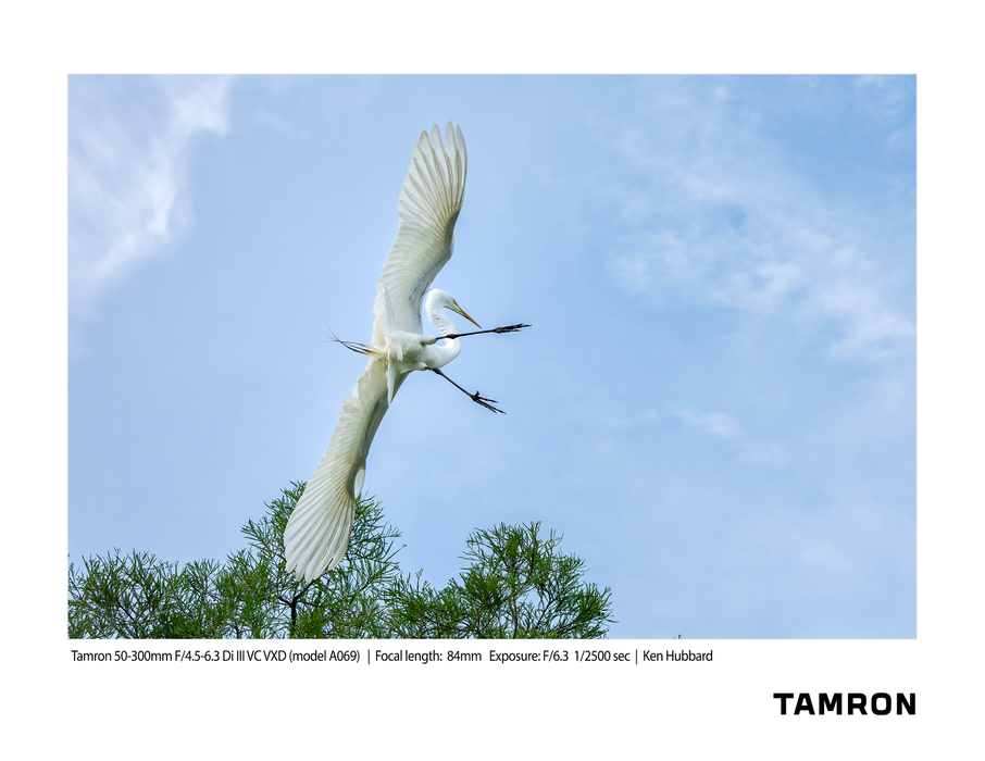 Tamron 50-300mm F/4.5-6.3 Di III VC VXD Lens - Sony E Mount