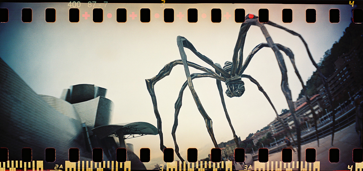 Lomography Sprocket Rocket 35mm Panoramic Film Camera - Peacock