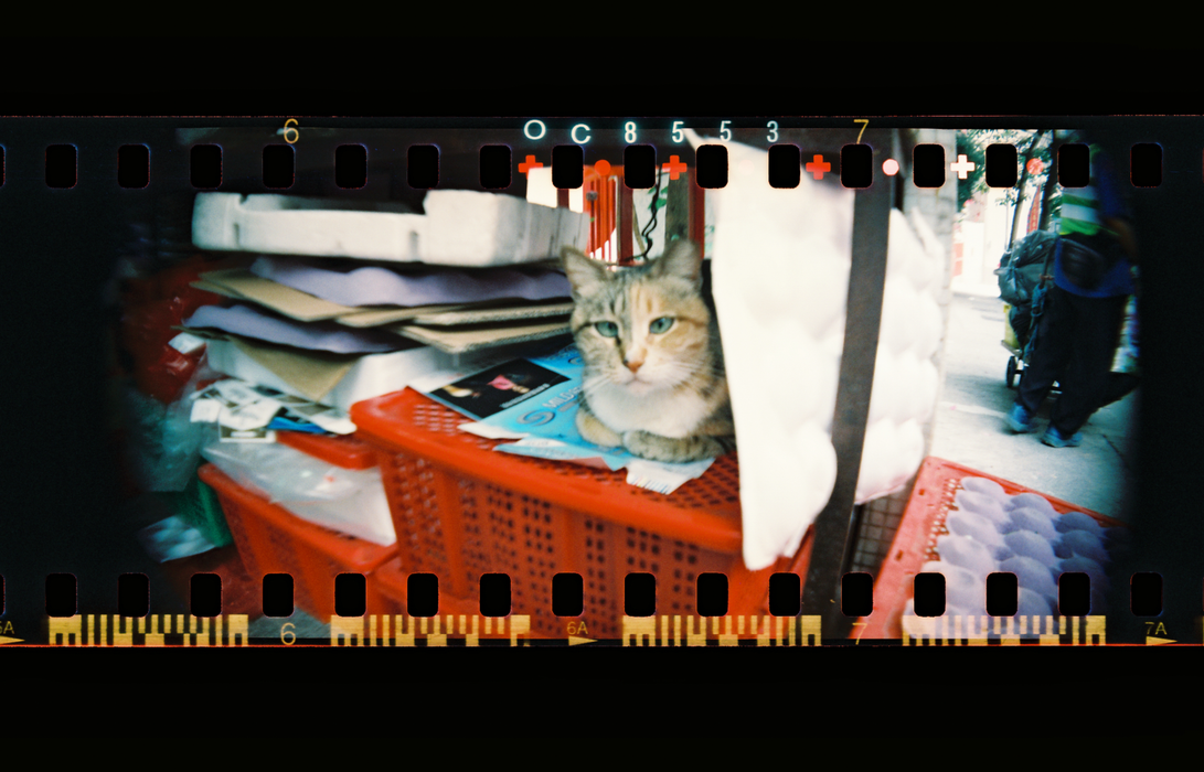 Lomography Sprocket Rocket 35mm Panoramic Film Camera - Coconut