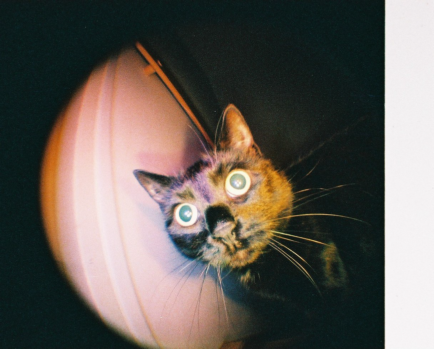 Lomography Fisheye Baby 110 Film Camera - Gold Edition