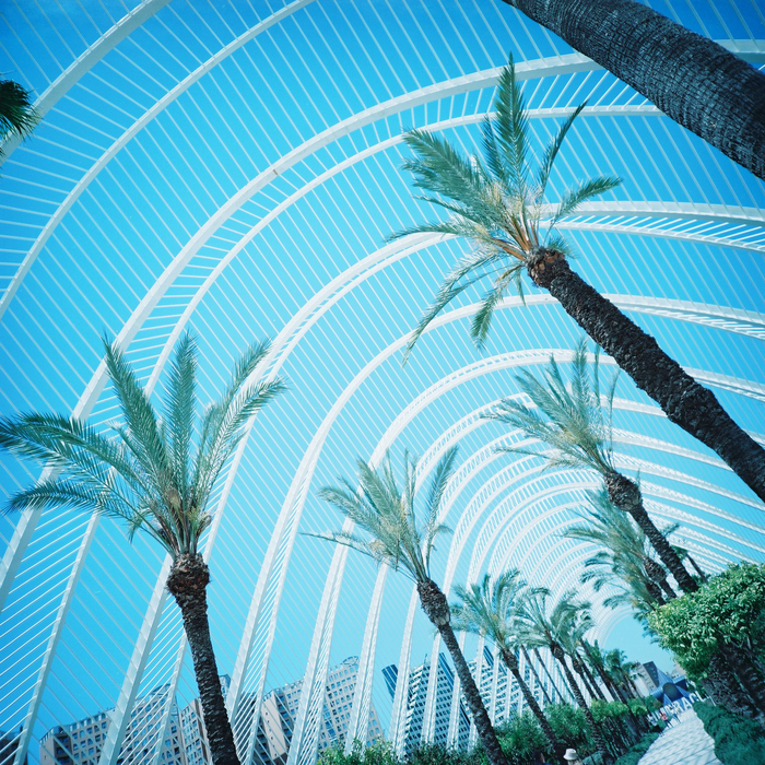 Lomography 100 Color Negative - 120mm Film, Single Roll