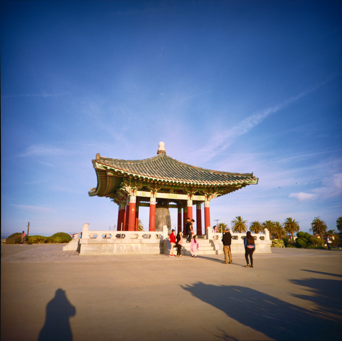 Lomography 400 Color Negative, 120 Film, Single Roll