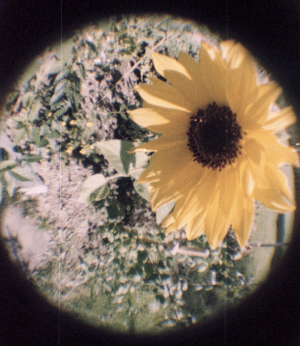 Lomography LomoChrome 2021 Metropolis 100-400 Color Negative - 110 Film, 24 Exposures, Single Roll