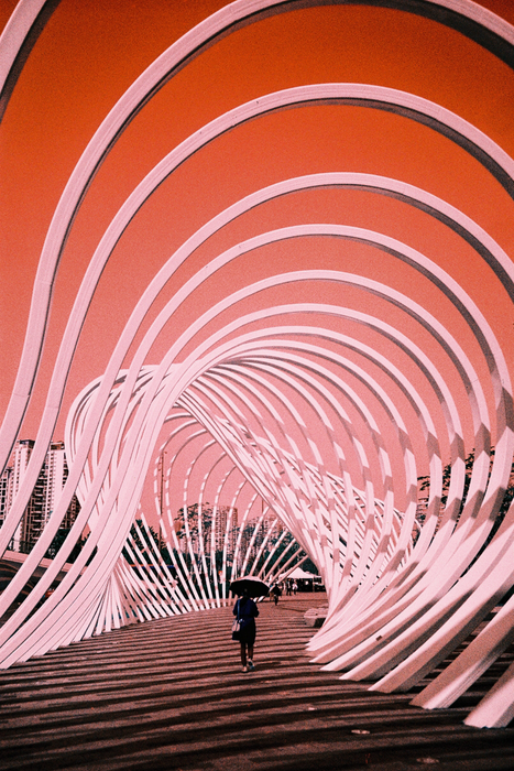 Lomography Analogue Trio Mixed Color Negative Film Pack - 35mm Film, 36 Exposures, 3 Pack