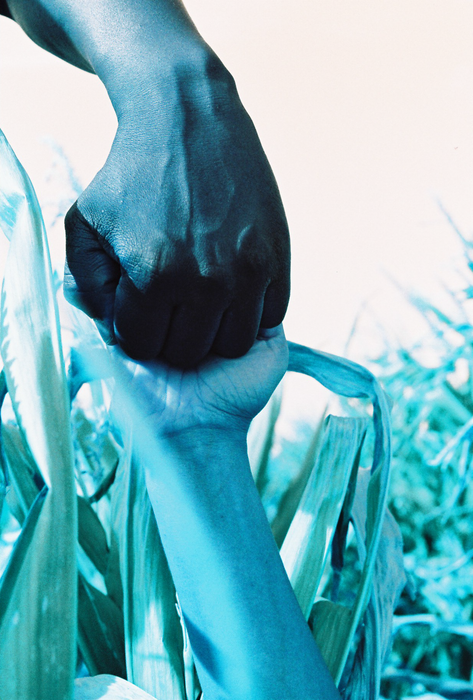 Lomography Analogue Trio Mixed Color Negative Film Pack - 35mm Film, 36 Exposures, 3 Pack