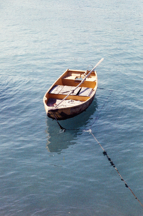 Lomography LomoChrome Color ’92 Sun-kissed 400 Color Negative - 35mm Film, Single Roll