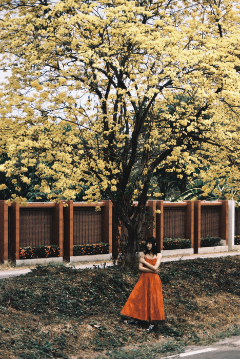 Lomography LomoChrome Color ’92 Sun-kissed 400 Color Negative - 35mm Film, Single Roll