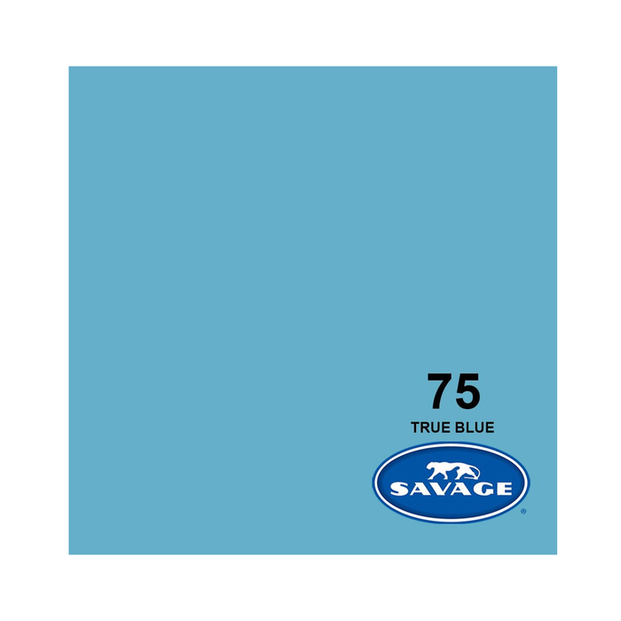 Savage #75 True Blue Seamless Background Paper 107" x 36' - In Store Pick Up Only