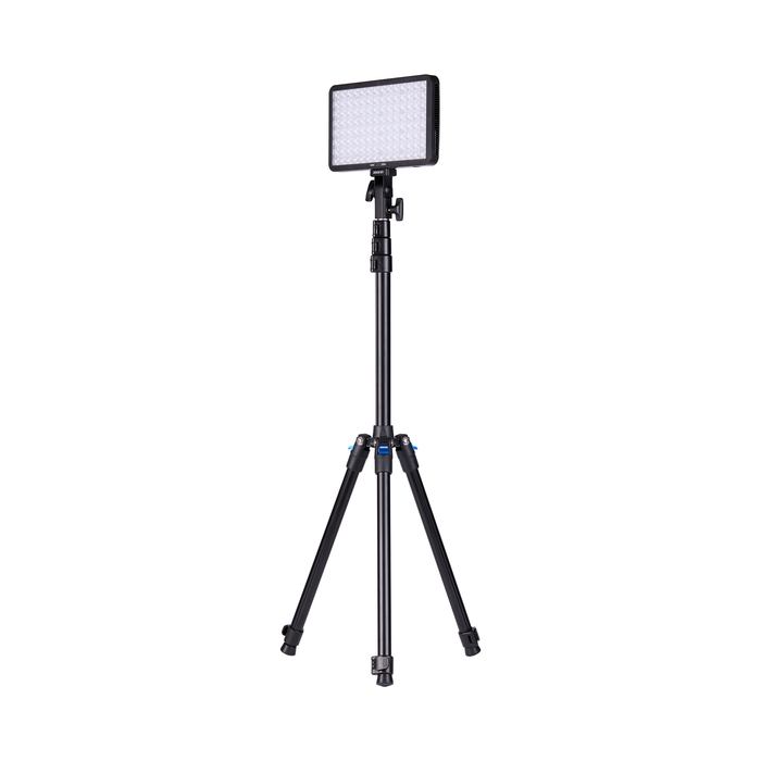 Amaran Pano 60c 2 Light Kit - Charcoal