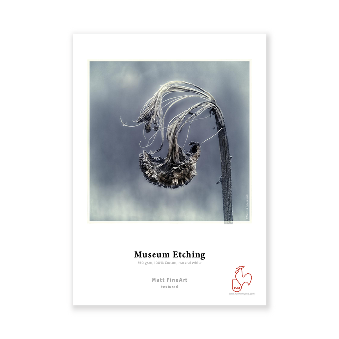 Hahnemühle Museum Etching FineArt Textured Matte Inkjet Paper 350gsm, 17 x 22" - 25 Sheets