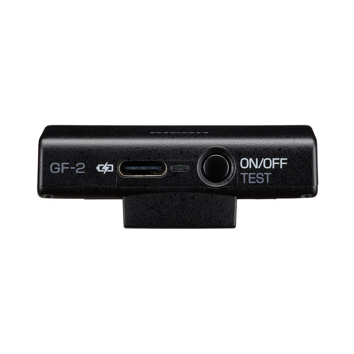 Ricoh GF-2 External Flash