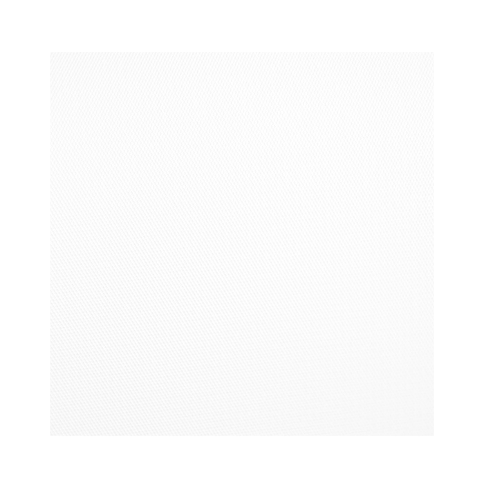 Savage Infinity Solid Vinyl Background, 5' x 7' - Pure White (In Store Pick Up Only)