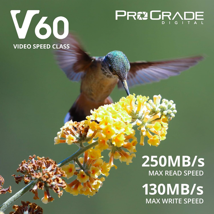 ProGrade Digital 128GB UHS-II SDXC V60 250R Gold Memory Card