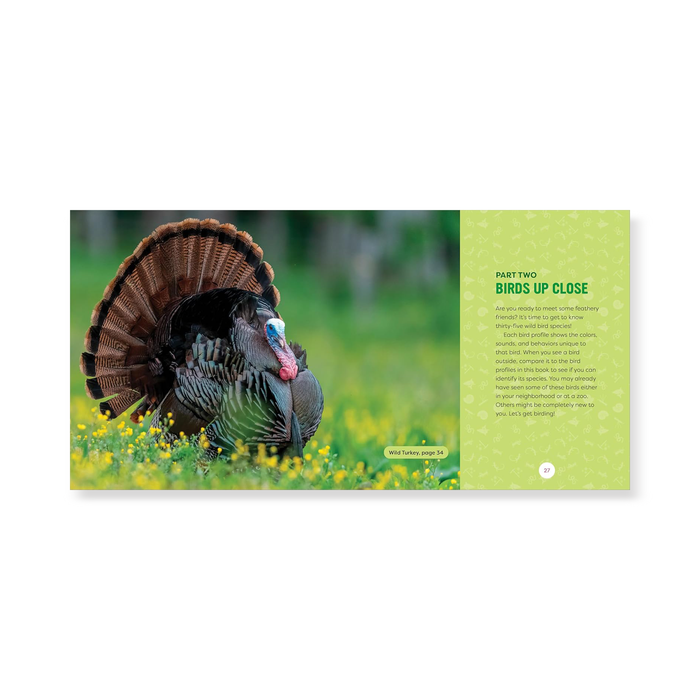 Birds for Kids: A Junior Scientist's Guide to Owls, Eagles, Penguins, and Other Bird Species