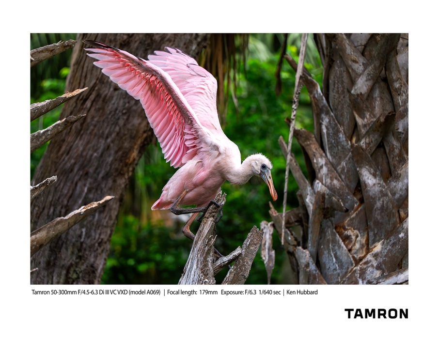 Tamron 50-300mm F/4.5-6.3 Di III VC VXD Lens - Sony E Mount